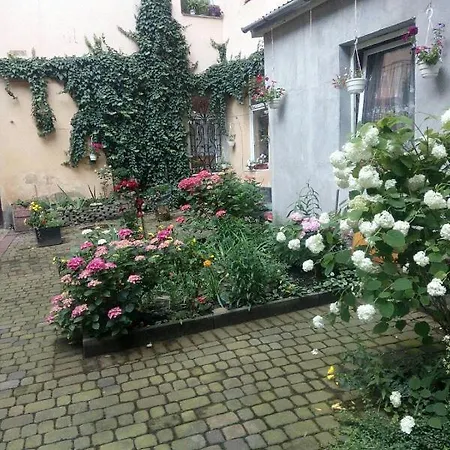 On Kopernik Street 9