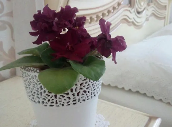 Apartman On Kopernik Street 9 *