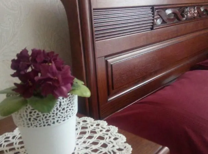 On Kopernik Street 9 Apartament *