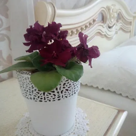 Apartment On Kopernik Street 9 *