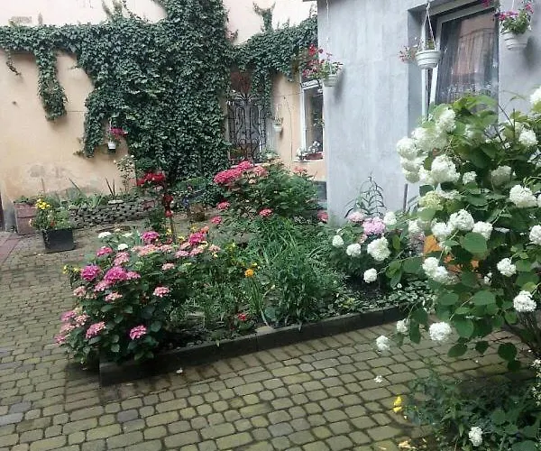 On Kopernik Street 9